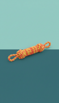 Interactive Rope Tug Toy with Dual Handles